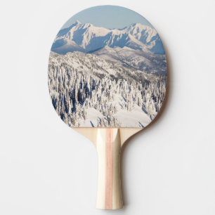 Pala De Ping Pong Una vista escénica de las montañas y de los