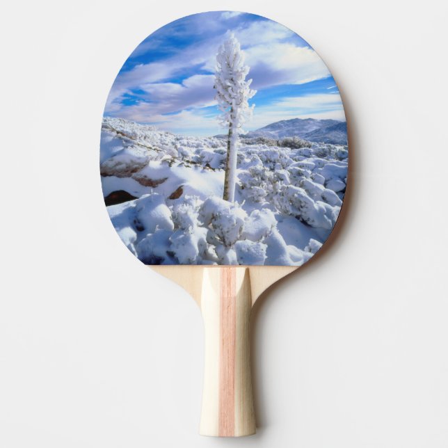 Pala De Ping Pong Una yucca cubierta de nieve (Anverso)