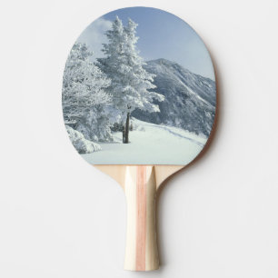 Pala De Ping Pong US, NH, árboles cubiertos de nieve Senderos raquet