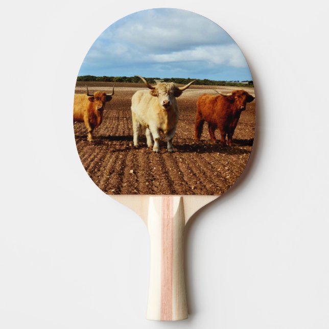 Pala De Ping Pong Vacas traviesas, (Anverso)