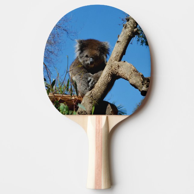 Pala De Ping Pong Vigilante Oso Koala, (Anverso)