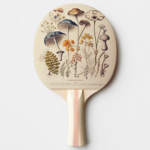 Pala De Ping Pong Vintage Mushroom Naturalist