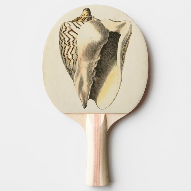 Pala De Ping Pong Vintage Sepia Conch Shell (Anverso)