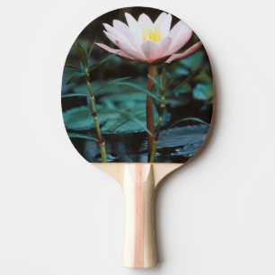 Pala De Ping Pong Vista de cerca de nenúfar en el lago Inle