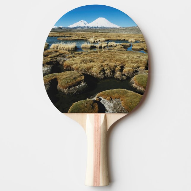 Pala De Ping Pong Volcanes Payachalas (Anverso)
