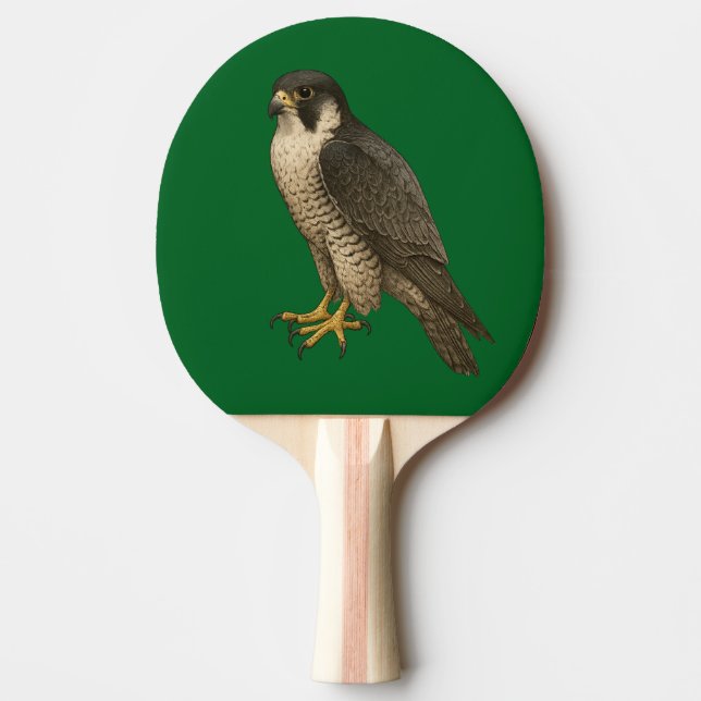 Pala De Ping Pong Wanderfalke (Anverso)