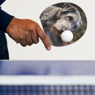 Pala De Ping Pong Wolfhound Irlandés No Me Divirto,
