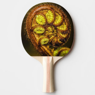 Pala De Ping Pong Young Fern Leaves