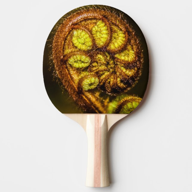 Pala De Ping Pong Young Fern Leaves (Anverso)