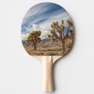Pala De Ping Pong Yucas en desierto