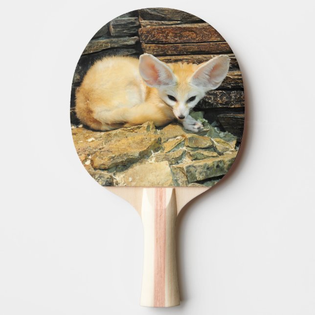 Pala De Ping Pong Zorro lindo del fennec (Anverso)