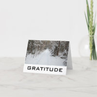 Palabras De Sabiduría: Tarjetas De Gratitud