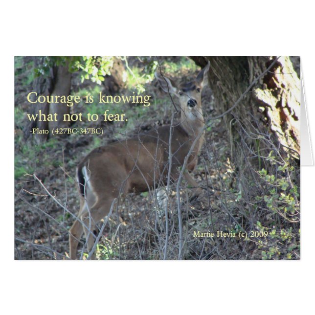 Palabras famosas: Coraje - Tarjeta de felicitación (Anverso (Horizontal))