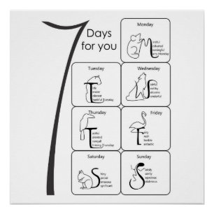 palabras positivas para su poster de 7 días