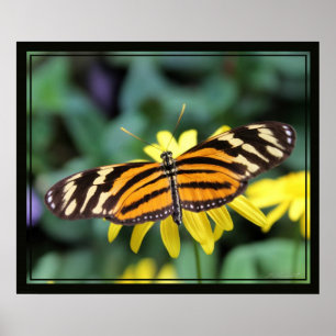 Palanca Mariposa 2 Impresión -24x20-otros tamaños