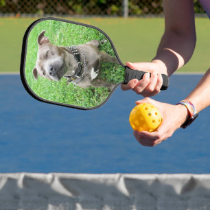 Palas De Pickleball Adulto Staffordshire Bull Terrier Paddle