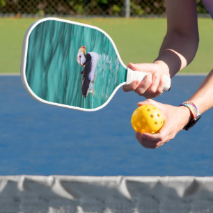 Palas De Pickleball Aluminio En La Bahía Resurrección, Alaska