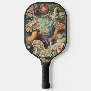 Palas De Pickleball Anémonas de Mar de Haeckel Arte Náutico de Vida Ma