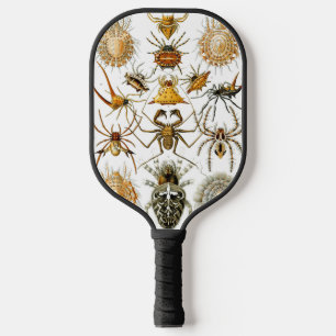 Palas De Pickleball Aracnidos del ilustracion vintage Ernest Haeckel