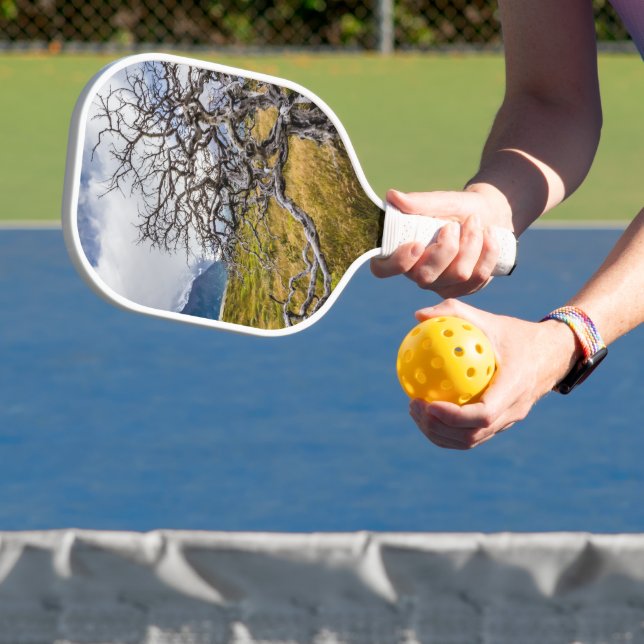 Palas De Pickleball Árbol quemado, Torres del Paine, Chile (in situ)
