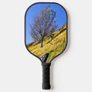 PALAS DE PICKLEBALL ÁRBOL SOLITARIO
