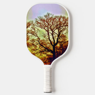 PALAS DE PICKLEBALL ÁRBOLES CON SOL BRUMOSO