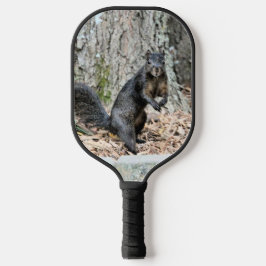Palas De Pickleball Ardilla