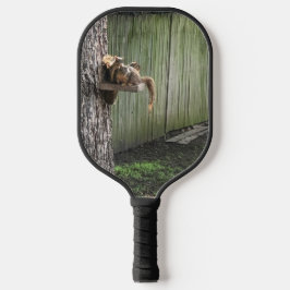 Palas De Pickleball Ardilla