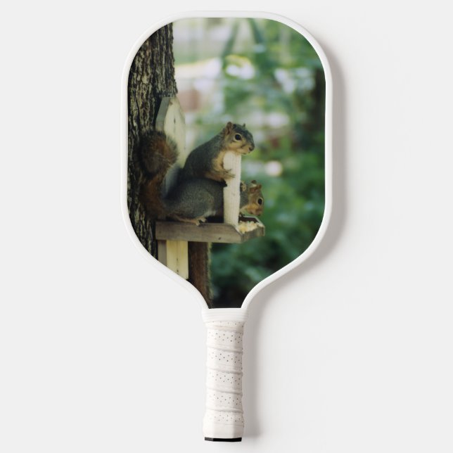 Palas De Pickleball Ardilla (Reverso )