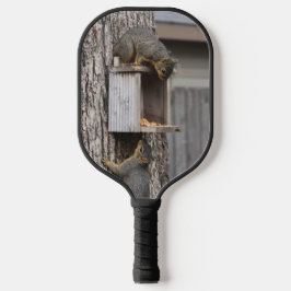 Palas De Pickleball Ardilla