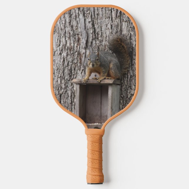 Palas De Pickleball Ardilla (Anverso)