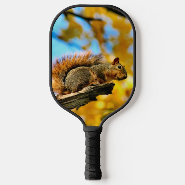 Palas De Pickleball Ardillas de otoño (Anverso)