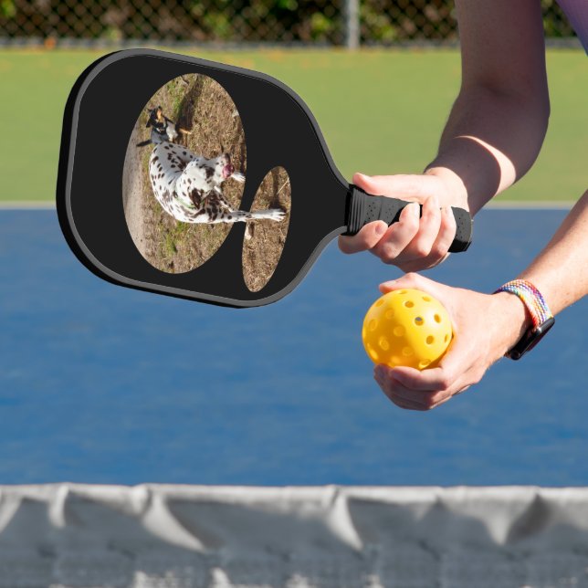 Palas De Pickleball Arte Dalmatian Popout, (in situ)