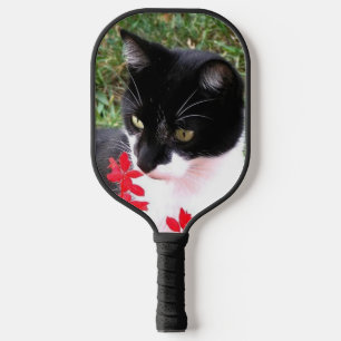 Palas De Pickleball Asombroso gato de Tuxedo en el jardín
