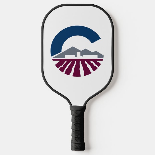 Palas De Pickleball Bandera de Chandler, Arizona (Anverso)