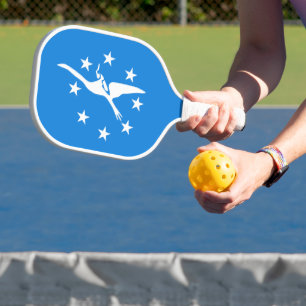 Palas De Pickleball Bandera de Corpus Christi, Texas