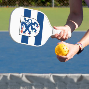 Palas De Pickleball Bandera de Ingolstadt, Baviera - ALEMANIA