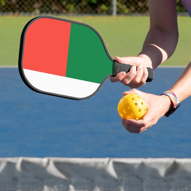 Palas De Pickleball Bandera de Madagascar (in situ)