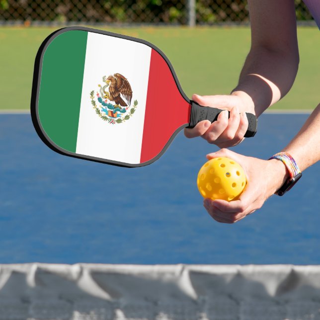 Palas De Pickleball Bandera de México (in situ)