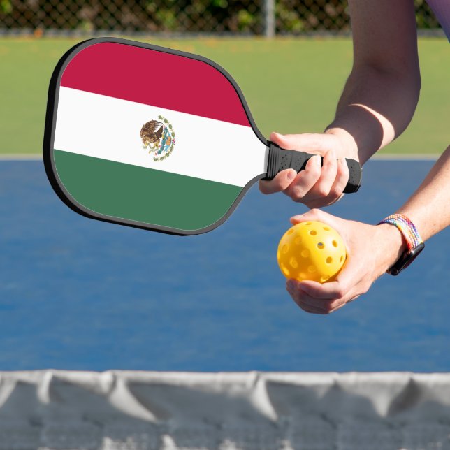 Palas De Pickleball Bandera de México (in situ)