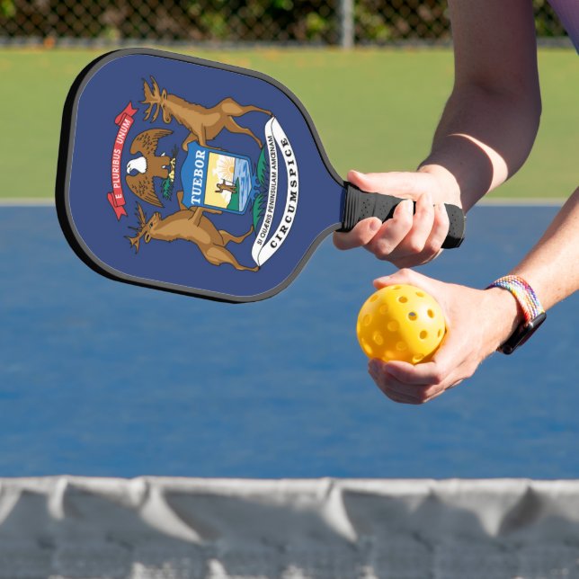 Palas De Pickleball Bandera estatal de Michigan, Estados Unidos (in situ)