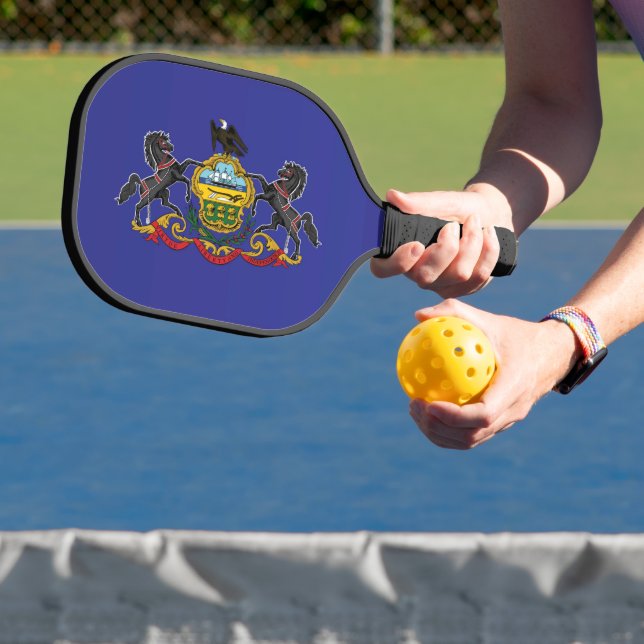 Palas De Pickleball Bandera estatal de Pennsylvania, Estados Unidos (in situ)