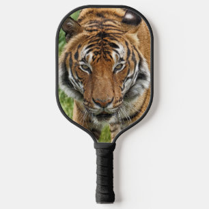 PALAS DE PICKLEBALL BENGAL TIGRE PICKLEBALL PADDLE