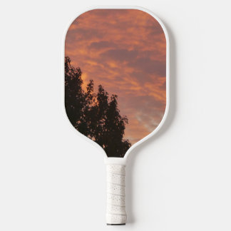 Palas De Pickleball Brillantes Gales De Balas De Baloncesto