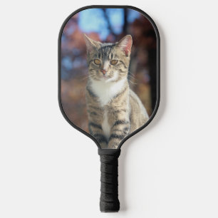 Palas De Pickleball Brin