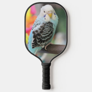 Palas De Pickleball Budgie