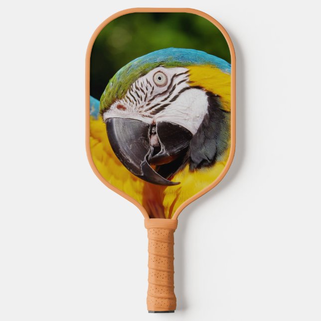 Palas De Pickleball Cabeza de un macao azul y amarillo (Anverso)