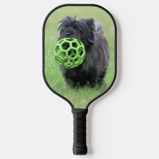 Palas De Pickleball Cairn terriers dos (Anverso)