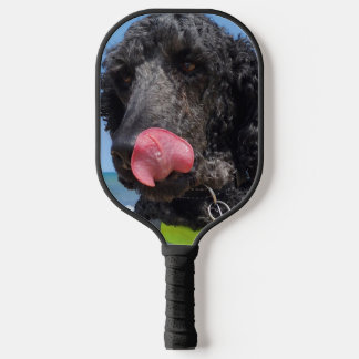 Palas De Pickleball Caniche estándar