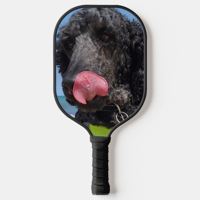 Palas De Pickleball Caniche estándar (Anverso)